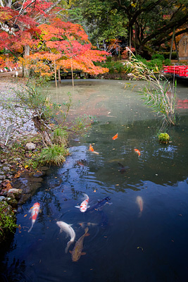 Shin-en Bahçesi