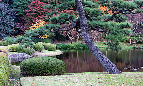 Ninomaru Japon bahçesinden görünümler.
