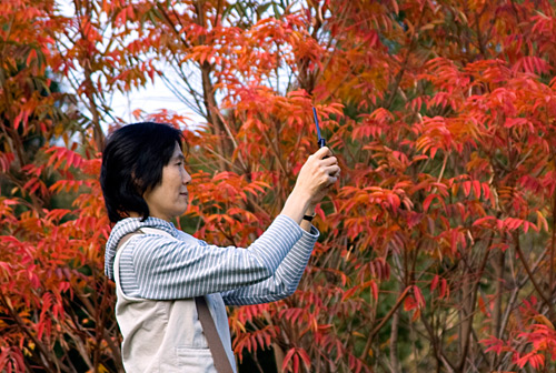 Sonbahar yaprakları ve Japon kadın
