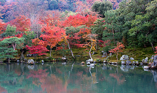 Tenryu-ji Tapınağı'nın bahçesi.