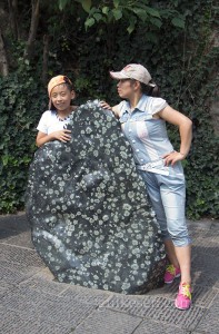Luoyang'ın simgesi şakayık. Üzerinde şakayık çiçeğine benzeyen desenler olan bu doğal taş, ziyaretçilerin ilgi odağı.