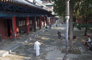 Shaolin Tapınağı